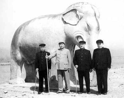 mao1954