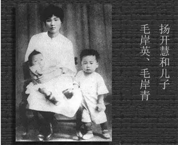 杨