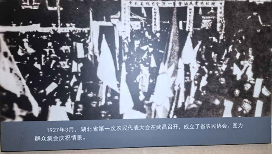 56